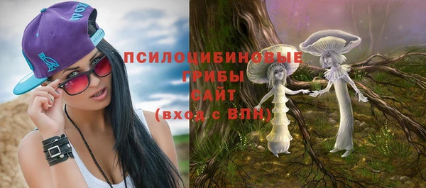 эйфоретик Алексин