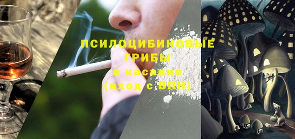 крисы Пересвет