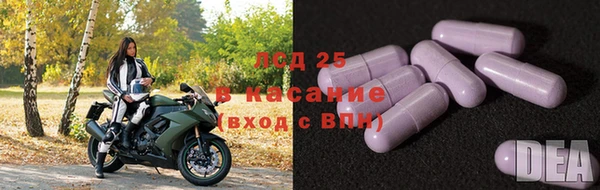 эйфоретик Алексин
